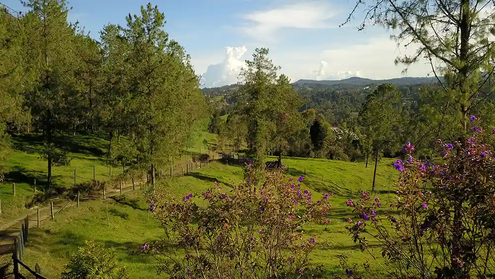 Parcelación Esenial Campestre-04