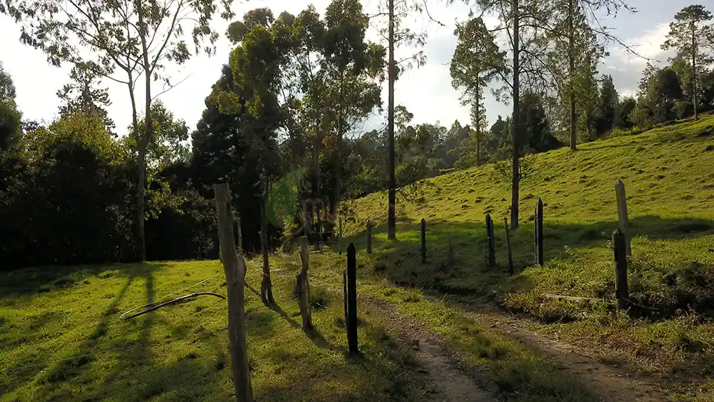 Parcelación Esenial Campestre-06